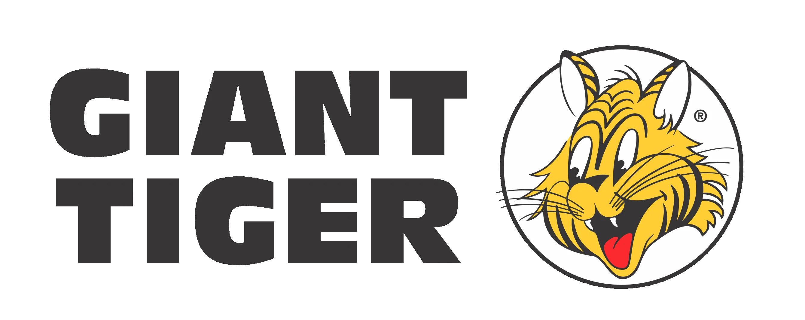 Giant Tiger Brantford